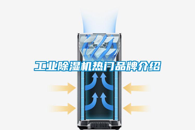 工業(yè)除濕機熱門品牌介紹