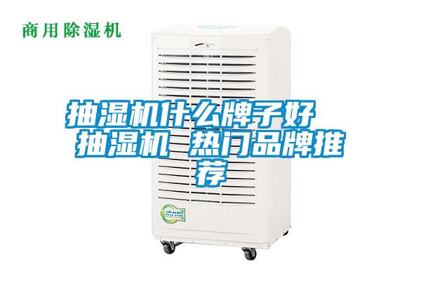 抽濕機什么牌子好  抽濕機 熱門品牌推薦