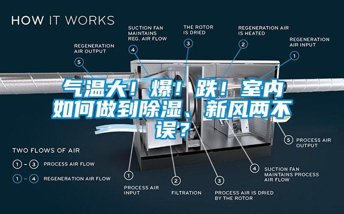 氣溫大！爆！跌！室內(nèi)如何做到除濕、新風(fēng)兩不誤？