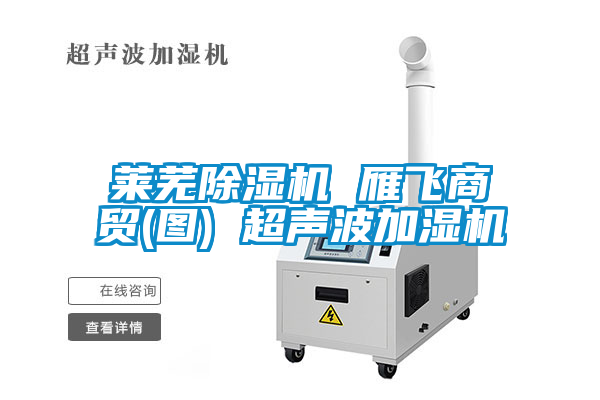 萊蕪除濕機(jī) 雁飛商貿(mào)(圖) 超聲波加濕機(jī)