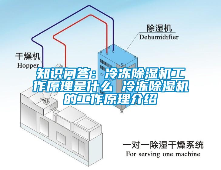 知識(shí)問(wèn)答：冷凍除濕機(jī)工作原理是什么 冷凍除濕機(jī)的工作原理介紹