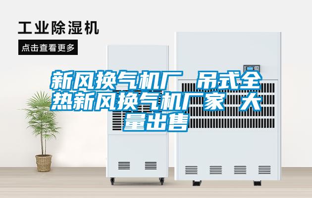 新風(fēng)換氣機廠 吊式全熱新風(fēng)換氣機廠家 大量出售