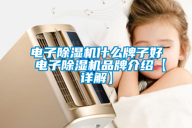 電子除濕機(jī)什么牌子好 電子除濕機(jī)品牌介紹【詳解】