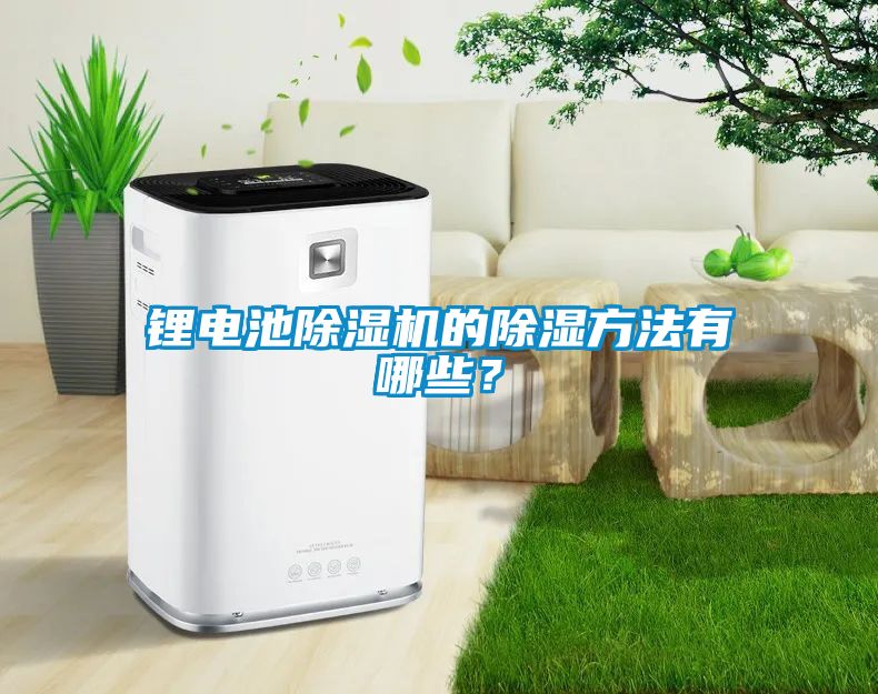 鋰電池除濕機(jī)的除濕方法有哪些？