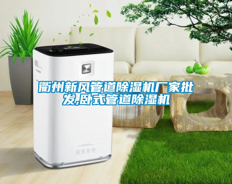 衢州新風(fēng)管道除濕機廠家批發(fā),臥式管道除濕機