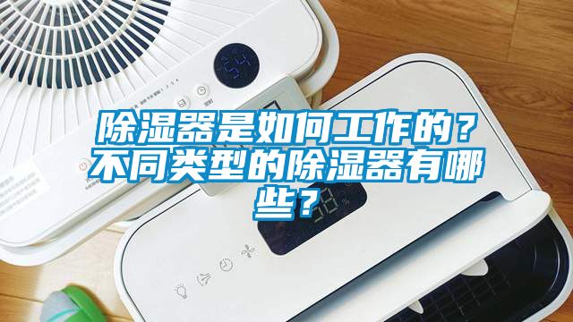 除濕器是如何工作的？不同類型的除濕器有哪些？