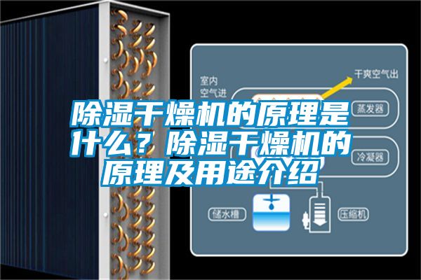 除濕干燥機的原理是什么？除濕干燥機的原理及用途介紹