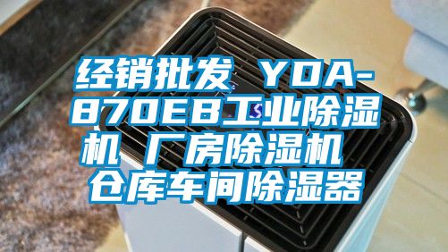 經(jīng)銷批發(fā) YDA-870EB工業(yè)除濕機 廠房除濕機 倉庫車間除濕器