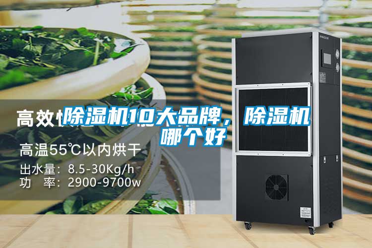 除濕機10大品牌，除濕機 哪個好