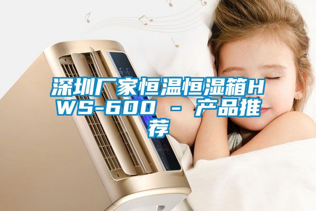 深圳廠家恒溫恒濕箱HWS-600 - 產(chǎn)品推薦