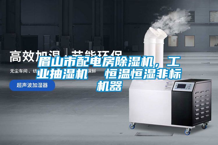 眉山市配電房除濕機，工業(yè)抽濕機  恒溫恒濕非標(biāo)機器