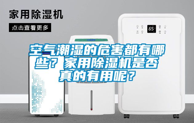 空氣潮濕的危害都有哪些？家用除濕機是否真的有用呢？