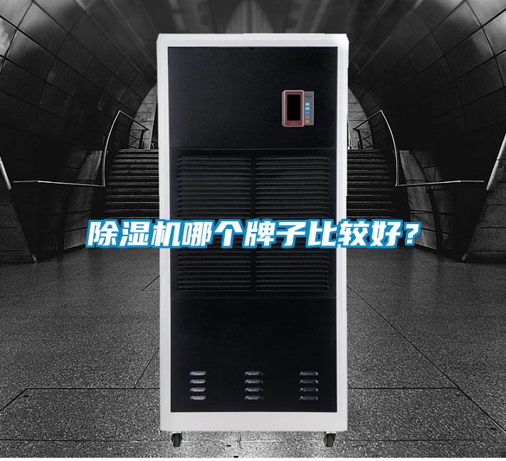 除濕機哪個牌子比較好？