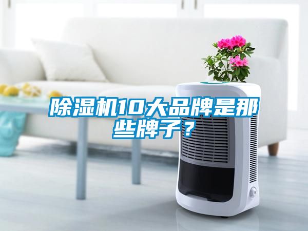 除濕機(jī)10大品牌是那些牌子？