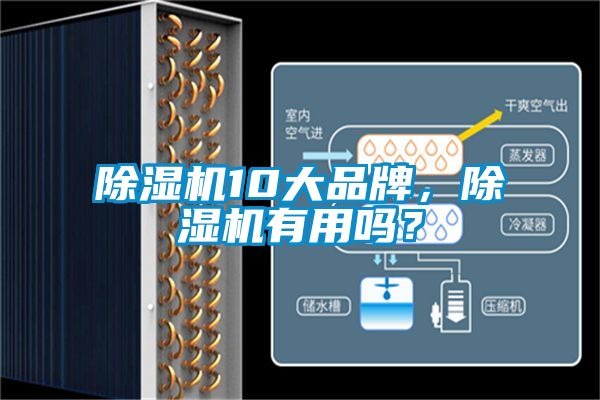 除濕機10大品牌，除濕機有用嗎？