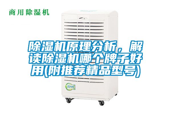 除濕機原理分析，解讀除濕機哪個牌子好用(附推薦精品型號)