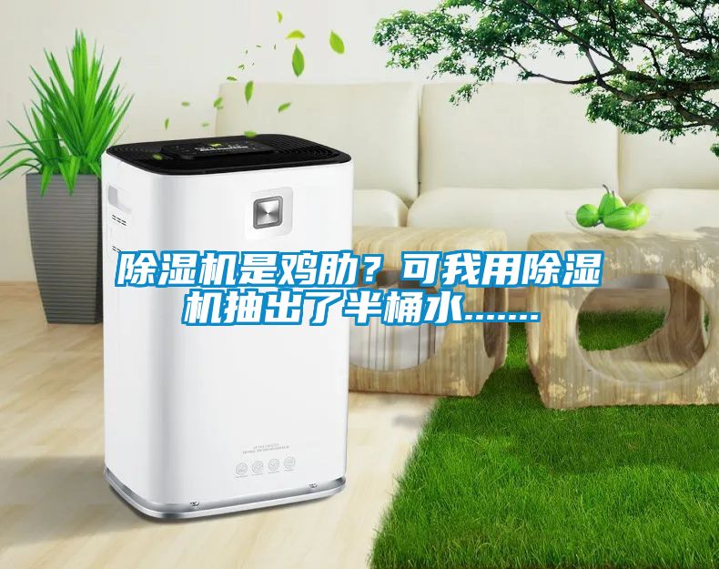 除濕機(jī)是雞肋？可我用除濕機(jī)抽出了半桶水.......