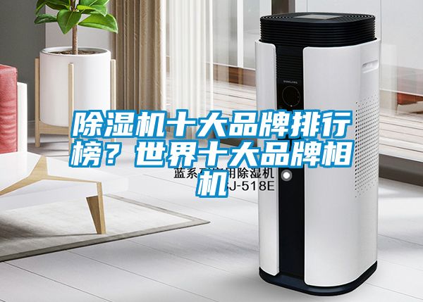 除濕機(jī)十大品牌排行榜？世界十大品牌相機(jī)