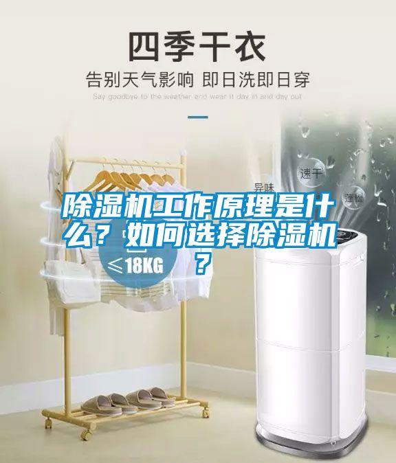 除濕機工作原理是什么？如何選擇除濕機？