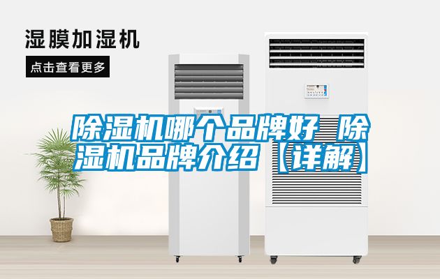 除濕機哪個品牌好 除濕機品牌介紹【詳解】