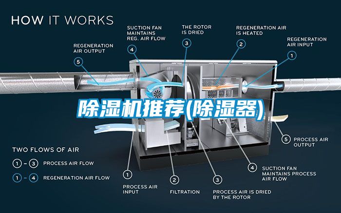 除濕機推薦(除濕器)