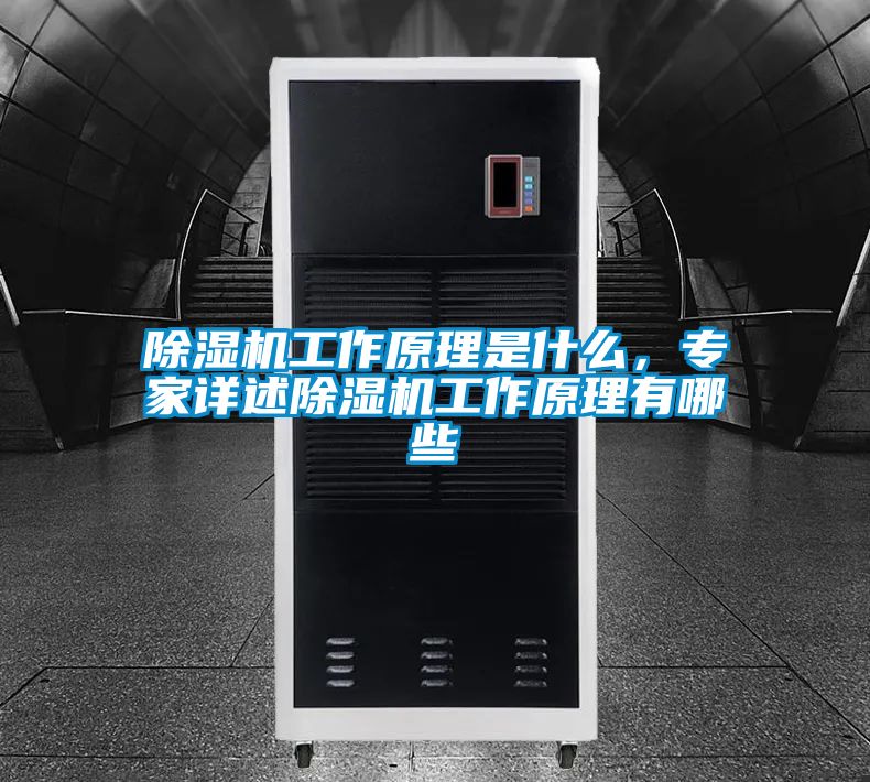 除濕機工作原理是什么，專家詳述除濕機工作原理有哪些