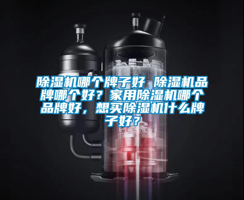 除濕機(jī)哪個(gè)牌子好 除濕機(jī)品牌哪個(gè)好？家用除濕機(jī)哪個(gè)品牌好，想買除濕機(jī)什么牌子好？