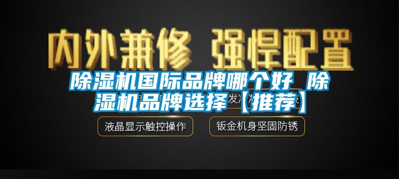 除濕機(jī)國(guó)際品牌哪個(gè)好 除濕機(jī)品牌選擇【推薦】