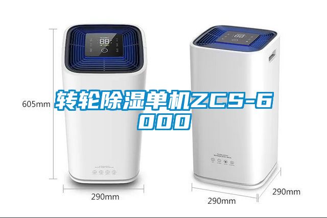 轉(zhuǎn)輪除濕單機(jī)ZCS-6000