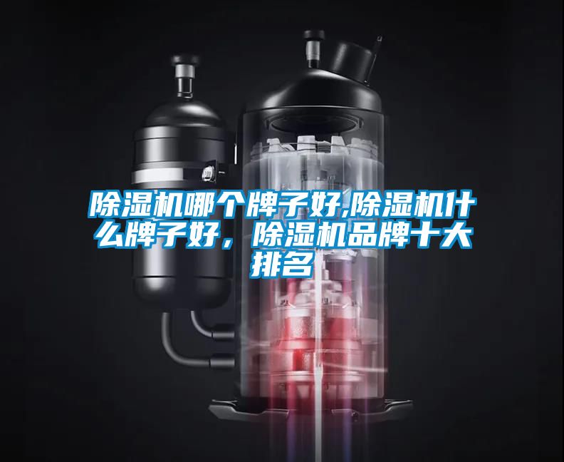 除濕機(jī)哪個(gè)牌子好,除濕機(jī)什么牌子好，除濕機(jī)品牌十大排名