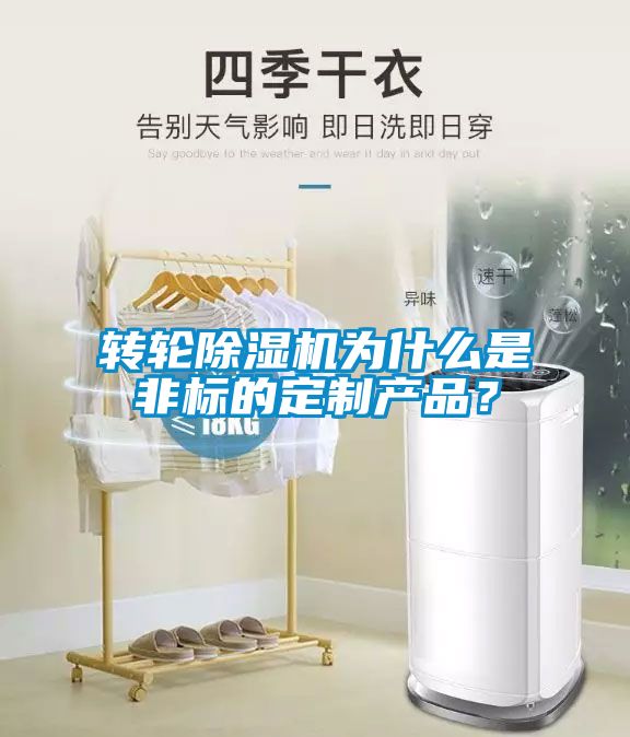 轉輪除濕機為什么是非標的定制產品？