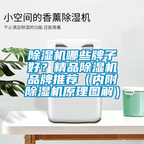 除濕機(jī)哪些牌子好？精品除濕機(jī)品牌推薦（內(nèi)附除濕機(jī)原理圖解）