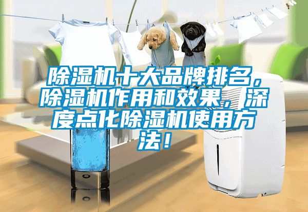 除濕機十大品牌排名，除濕機作用和效果，深度點化除濕機使用方法！