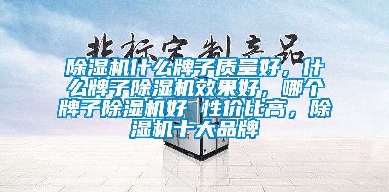 除濕機什么牌子質量好，什么牌子除濕機效果好，哪個牌子除濕機好 性價比高，除濕機十大品牌