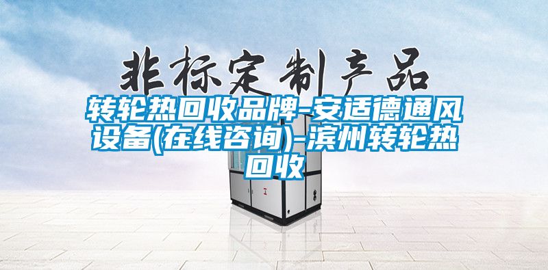 轉(zhuǎn)輪熱回收品牌-安適德通風設備(在線咨詢)-濱州轉(zhuǎn)輪熱回收