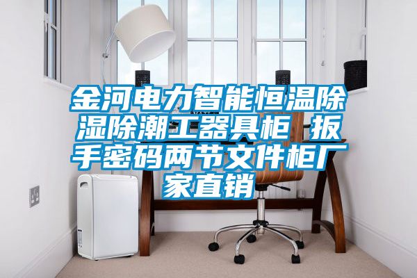 金河電力智能恒溫除濕除潮工器具柜 扳手密碼兩節(jié)文件柜廠家直銷