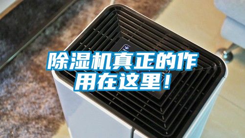 除濕機真正的作用在這里！