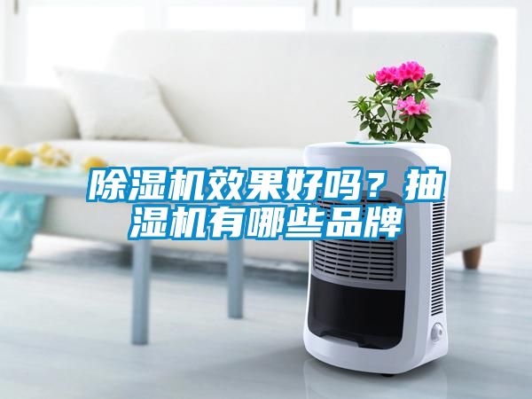 除濕機效果好嗎？抽濕機有哪些品牌