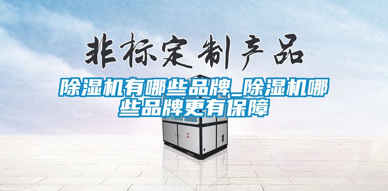 除濕機有哪些品牌_除濕機哪些品牌更有保障