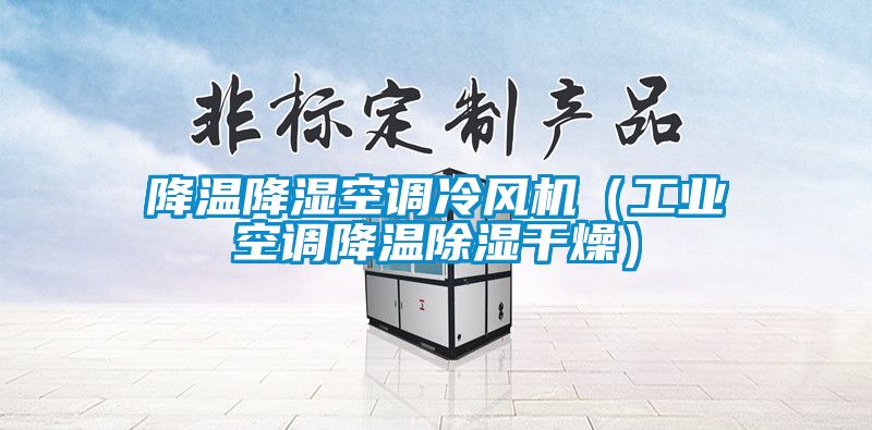 降溫降濕空調(diào)冷風機（工業(yè)空調(diào)降溫除濕干燥）