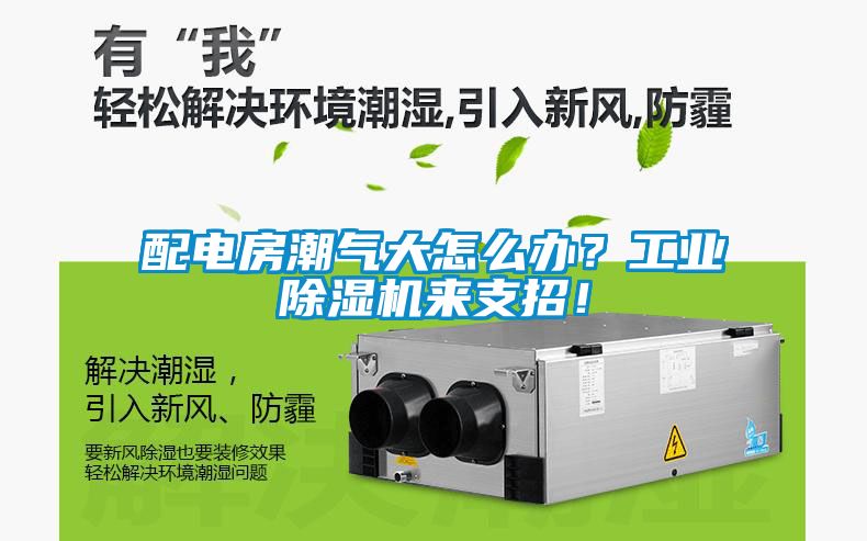 配電房潮氣大怎么辦？工業(yè)除濕機(jī)來支招！