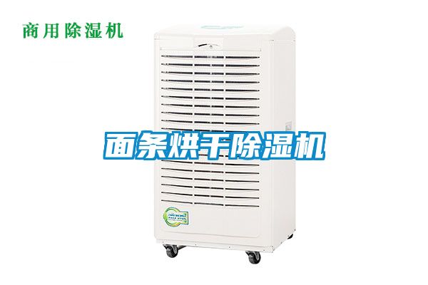 面條烘干除濕機