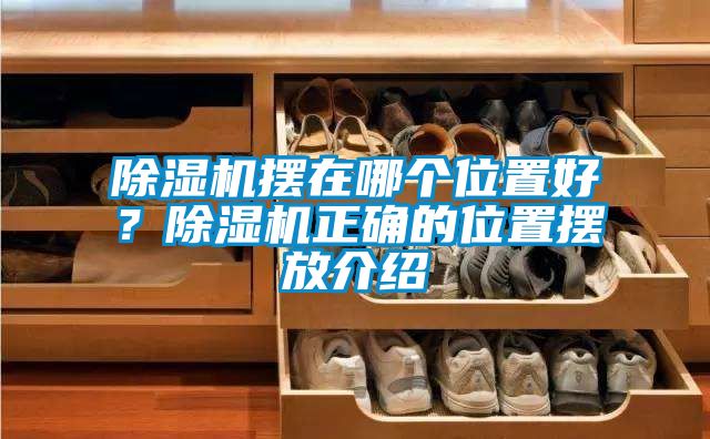 除濕機擺在哪個位置好？除濕機正確的位置擺放介紹