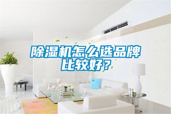 除濕機怎么選品牌比較好？