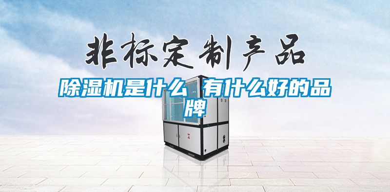 除濕機(jī)是什么 有什么好的品牌