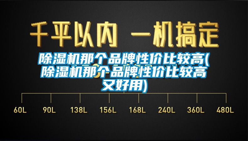 除濕機(jī)那個(gè)品牌性?xún)r(jià)比較高(除濕機(jī)那個(gè)品牌性?xún)r(jià)比較高又好用)