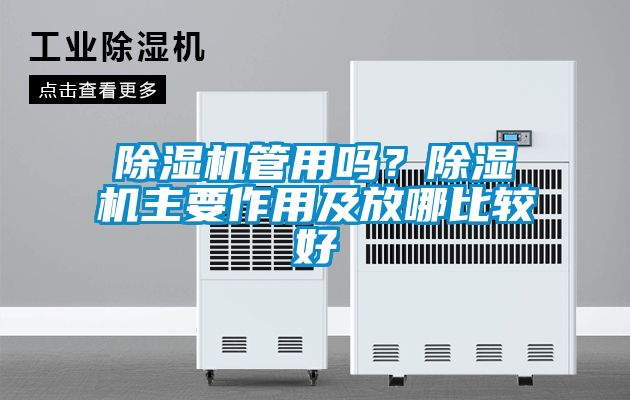 除濕機管用嗎？除濕機主要作用及放哪比較好