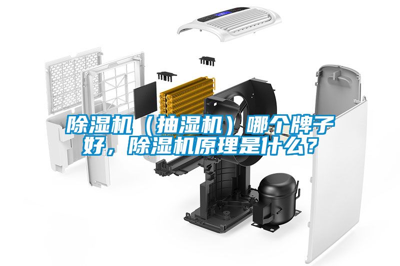 除濕機（抽濕機）哪個牌子好，除濕機原理是什么？