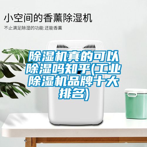 除濕機(jī)真的可以除濕嗎知乎(工業(yè)除濕機(jī)品牌十大排名)