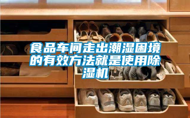 食品車間走出潮濕困境的有效方法就是使用除濕機(jī)